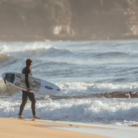 Economía y negocios